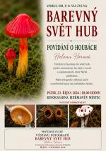 Svet hub