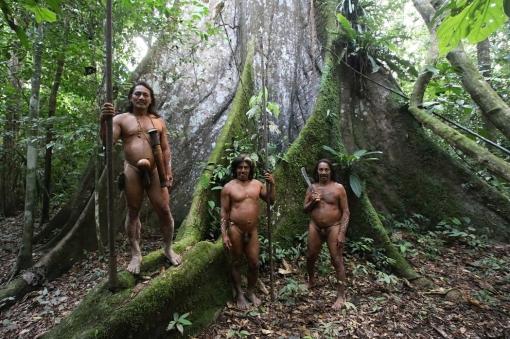 Amazonie