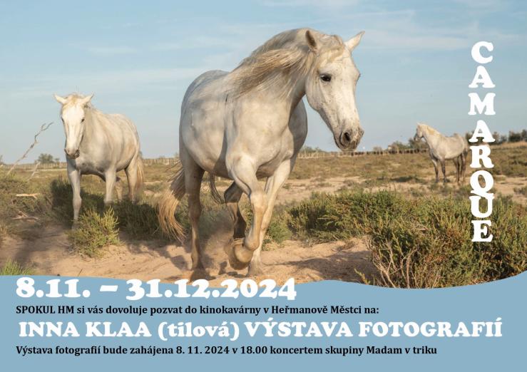 Výstava_Camarque