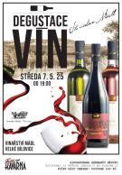 Degustace vín