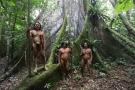Amazonie